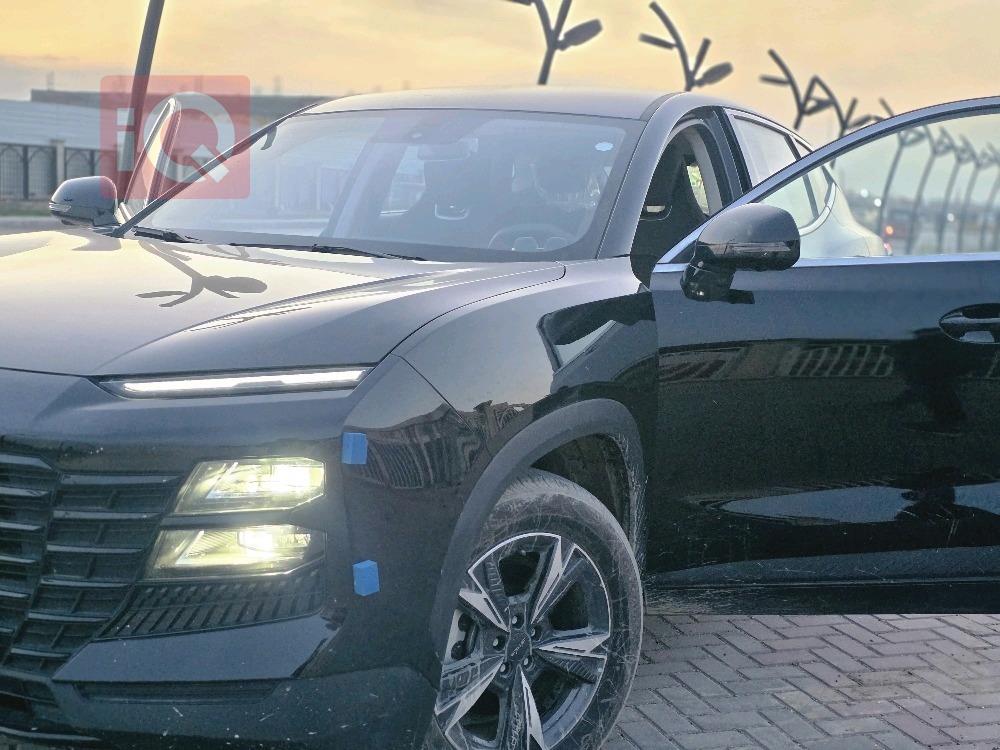 جيتور داشينج